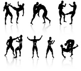 Artes Marciais em Nova Friburgo