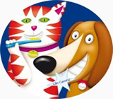 Banho e Tosa de Animais em Nova Friburgo