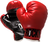 Boxe em Nova Friburgo