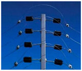Cercas Elétricas em Nova Friburgo