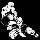 Jiu Jitsu em Nova Friburgo