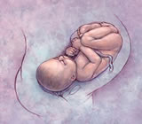 Obstetra e Obstetricia em Nova Friburgo
