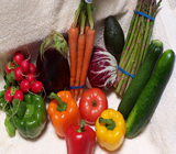 Sacolão, Hortifrutis e Quitandas em Nova Friburgo