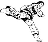 Tae Kwon Do em Nova Friburgo